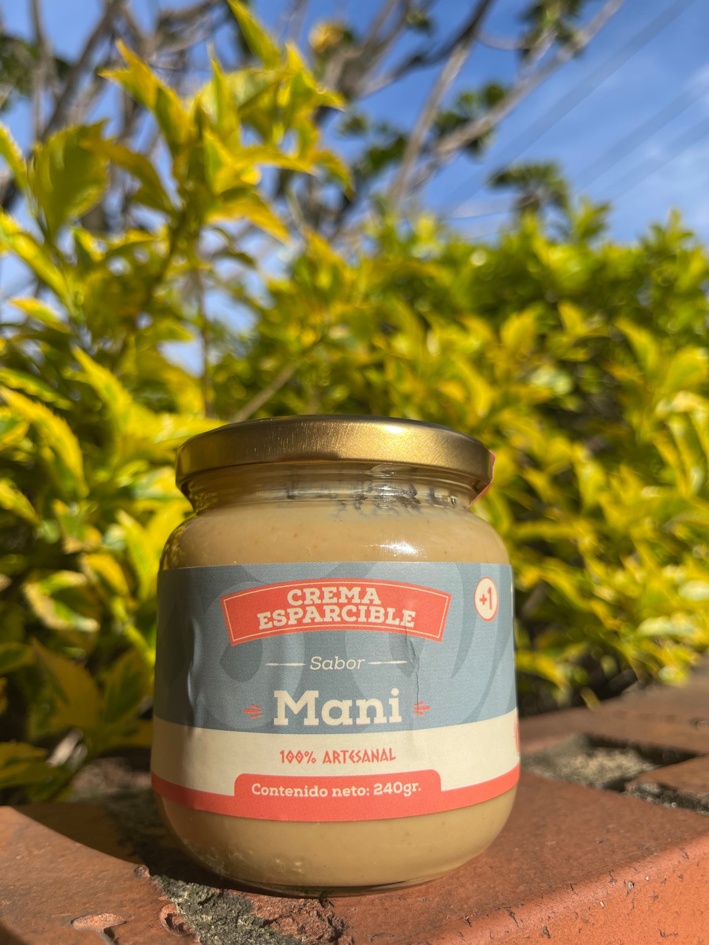 Frasco de Crema esparcible de mani